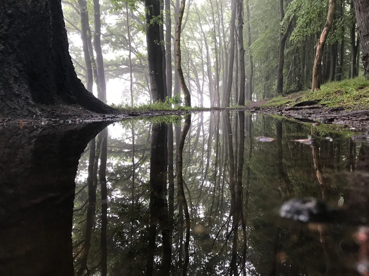 Discover Ashfield Photography Competition