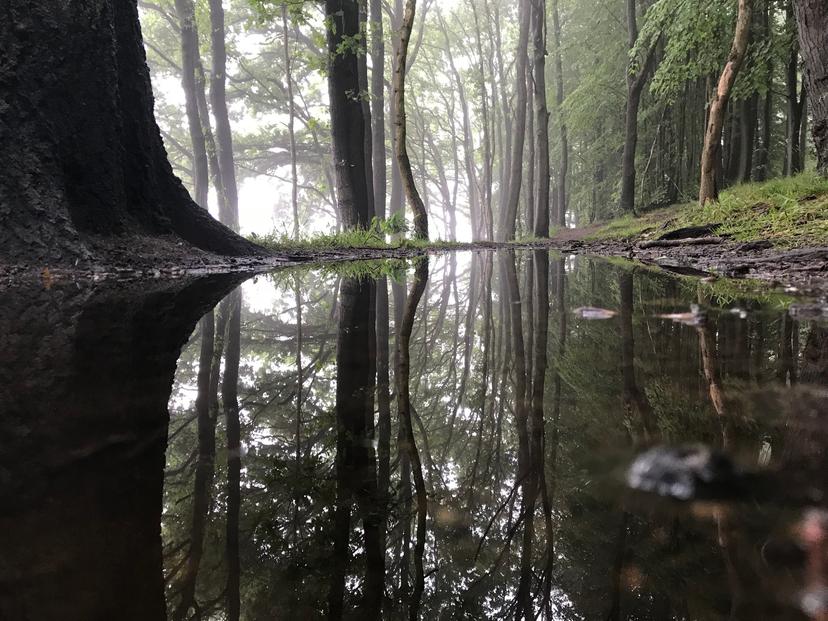 Image at https://media.umbraco.io/dev-discover-ashfield-heartcore/onkf1q3u/grace-gunton-day-reflections.jpg