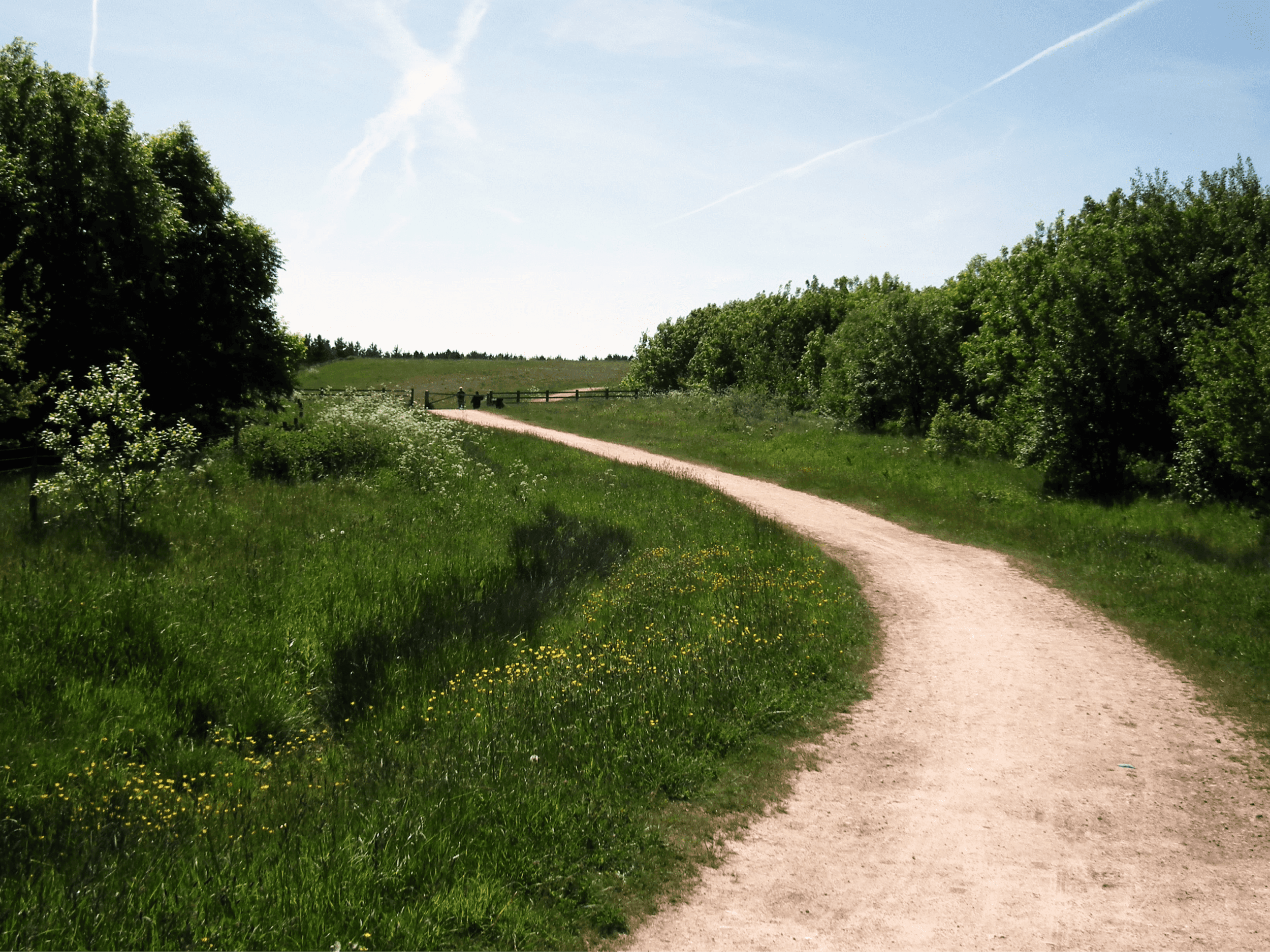 Image of Teversal Trails path