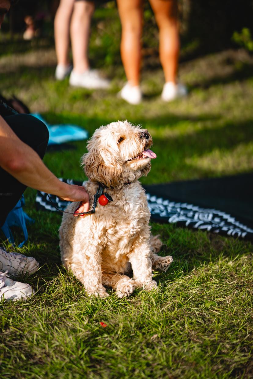 Image at https://media.umbraco.io/dev-discover-ashfield-heartcore/eduft3ub/dsc00533-enhanced-nr-1.jpg