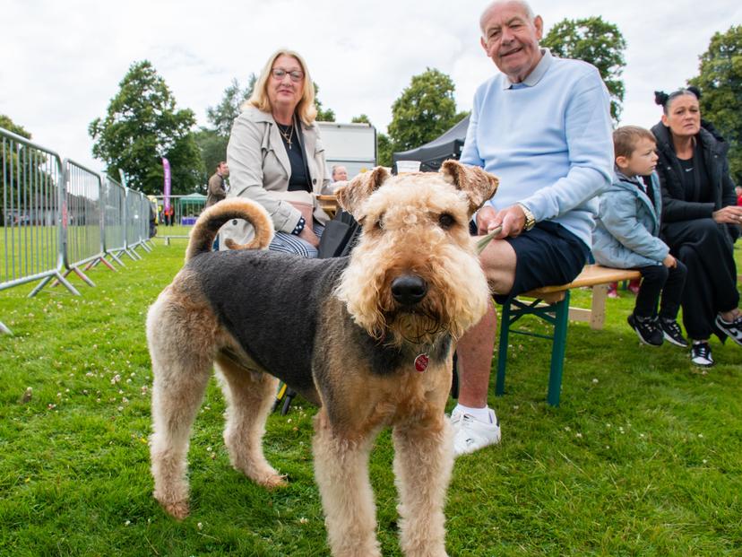 Image at https://media.umbraco.io/dev-discover-ashfield-heartcore/j44ivnpi/hucknall_fest_24-36-1.jpg