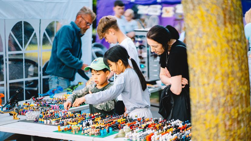 Image at https://media.umbraco.io/dev-discover-ashfield-heartcore/ml2hw3ut/dsc00412-enhanced-nr-1.jpg