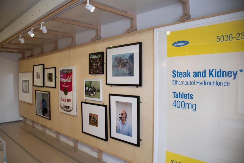 Image at https://media.umbraco.io/dev-discover-ashfield-heartcore/wdwhmh12/mobile-museum_kirkby24-8-1.jpg