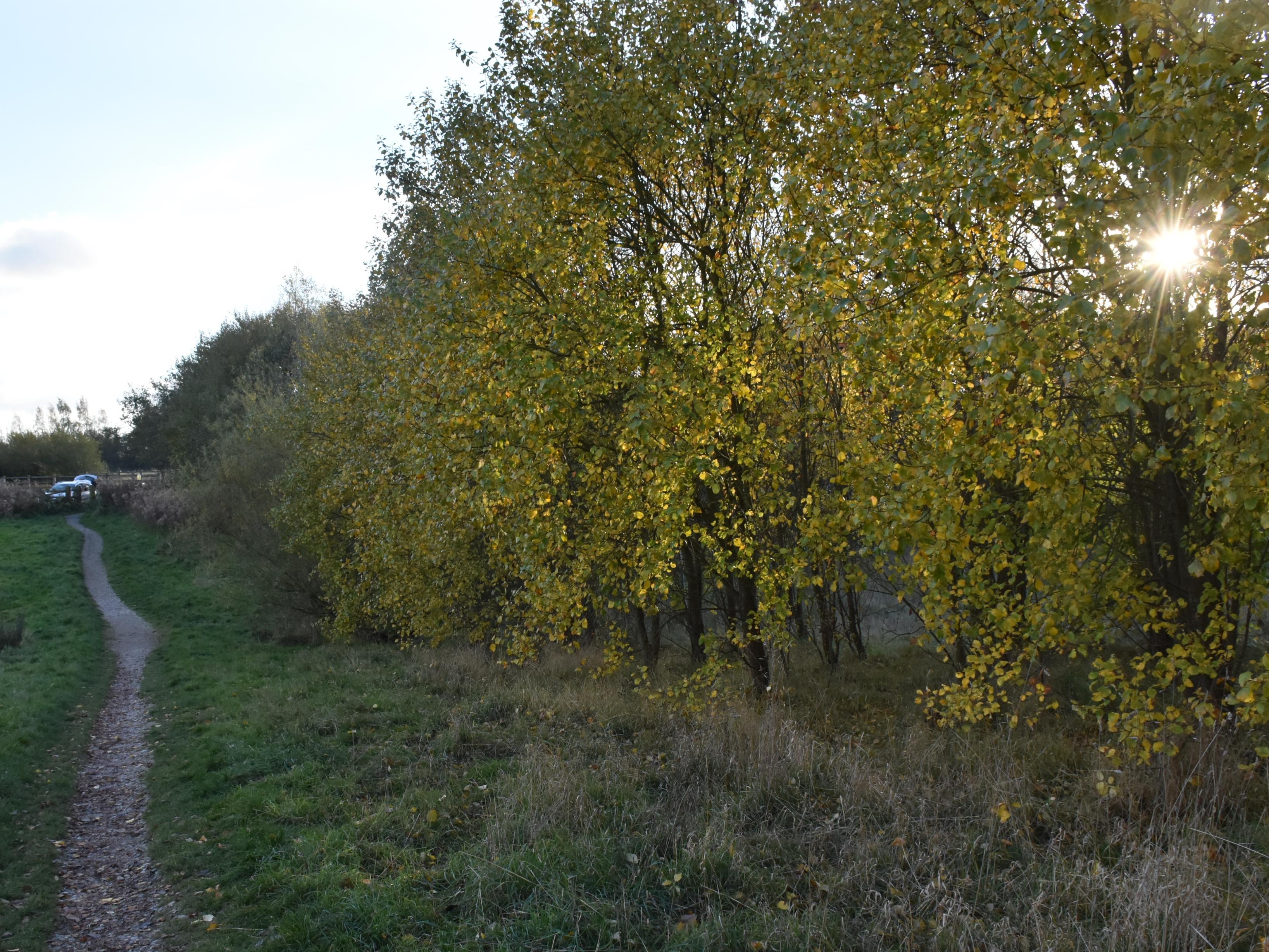 Image for https://media.umbraco.io/dev-discover-ashfield-heartcore/yjlk5wmg/dsc_2443-countryside-village-shot.jpg